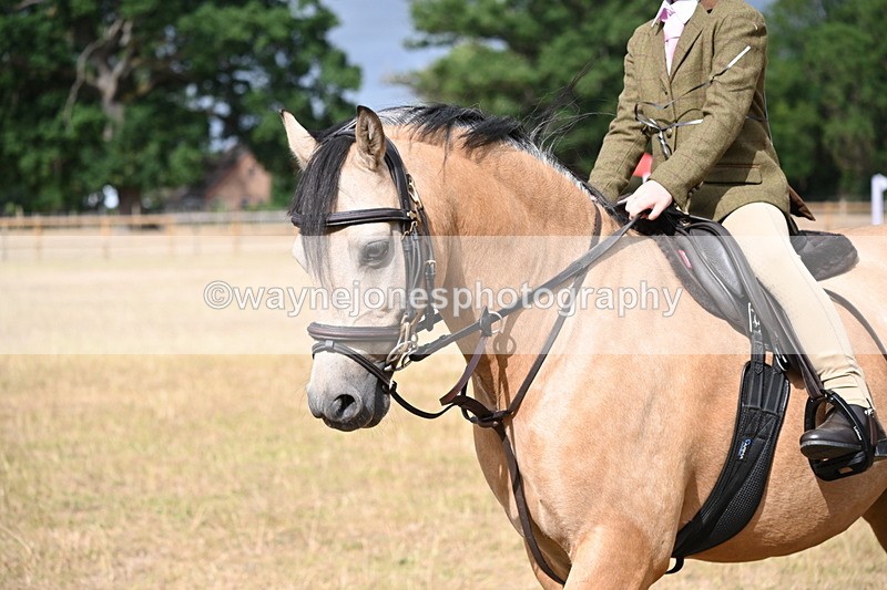 WJ6_7583 - Class 9 Tack and Turnout