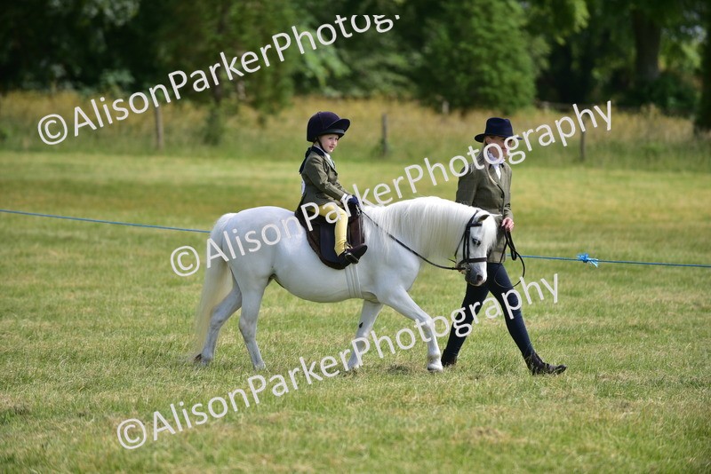20260614-1116 - Class 11a - Lead Rein Pony (Unplaited)