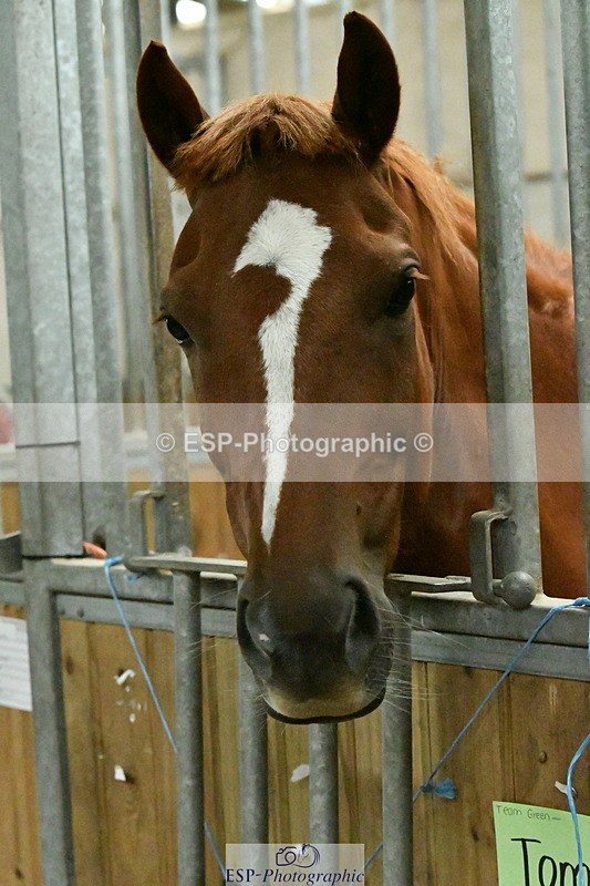 230804A-095437-01534 - Stable Shots