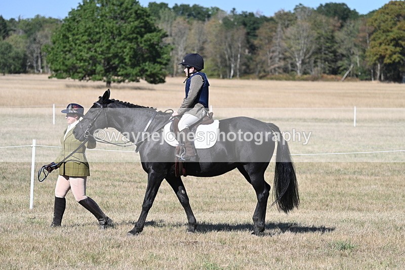 WJ7_2288 - Class 44 Child's Best Friend