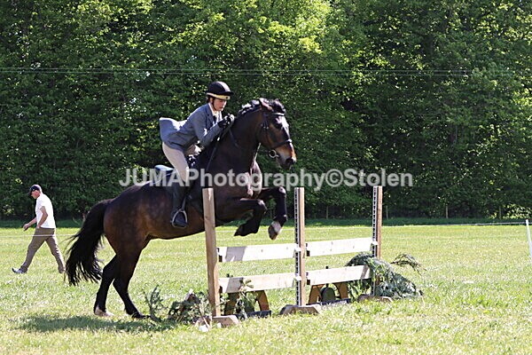 IMG_4550 - Working Hunter