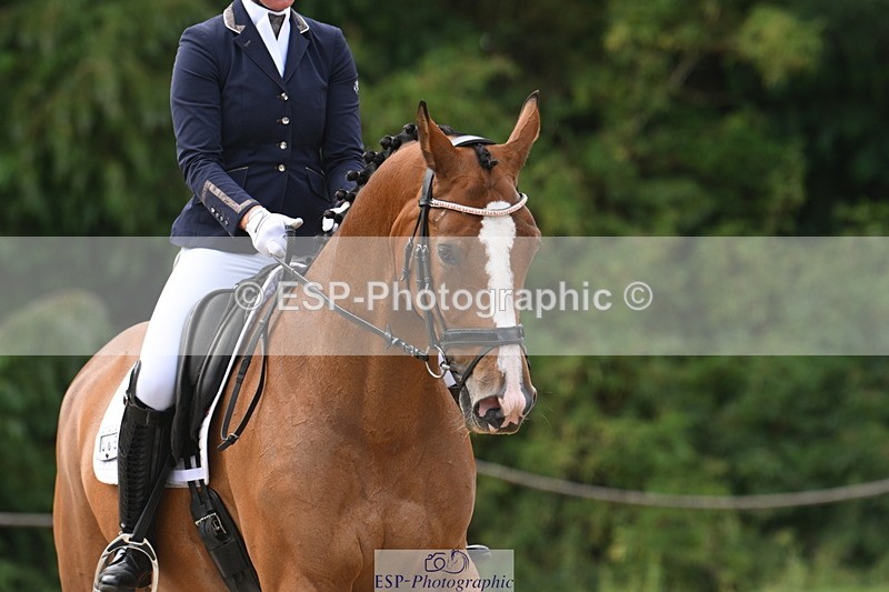 250719A-111454-04291 - 065-Amy.Richards-Im.Fine