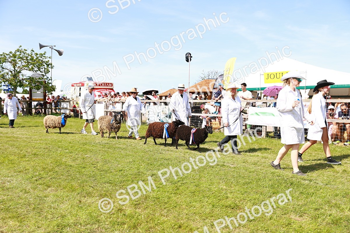 SBM_08304 - Grand Parade