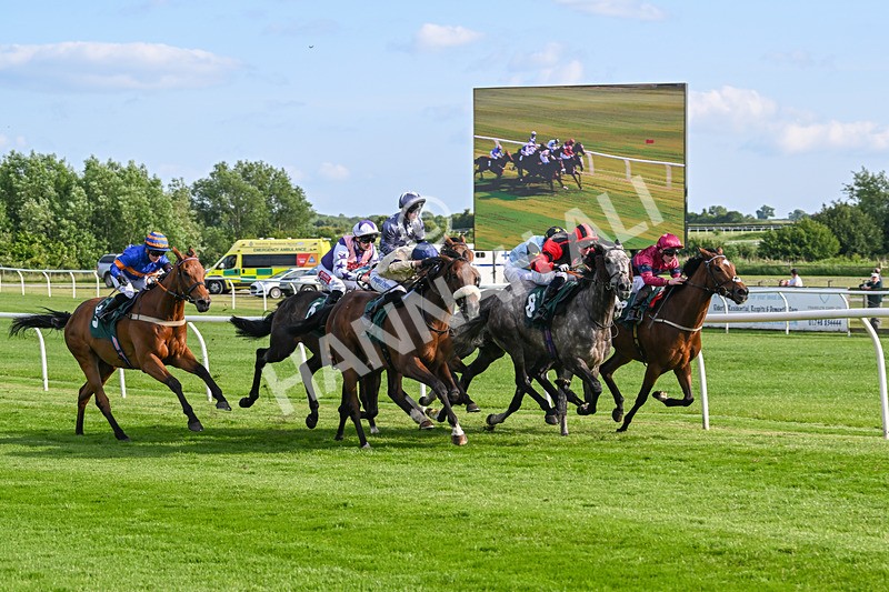 100625-Race 3-Stellarmasterpiece-6848 - Race 3