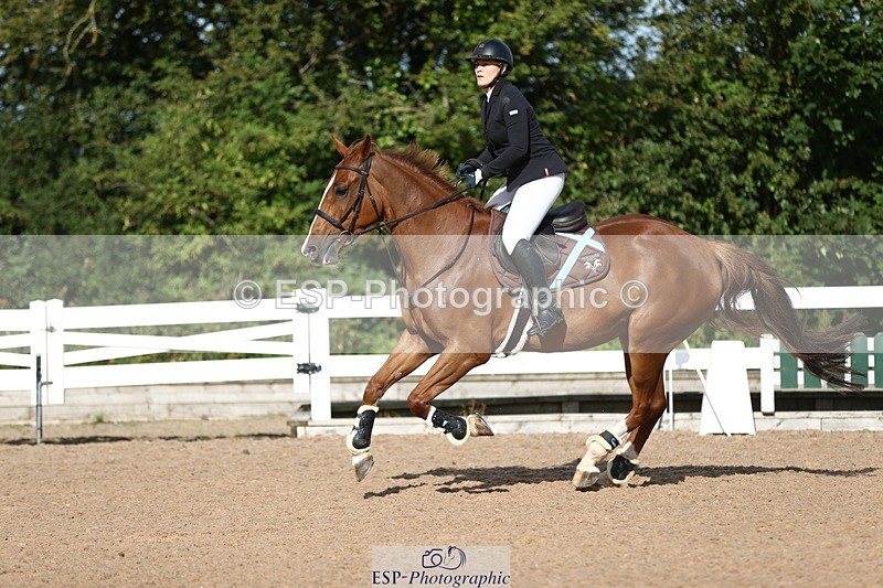 230811A-091717-02828 - Cls 13 A&B Snr Brit Nov & 90cm Open