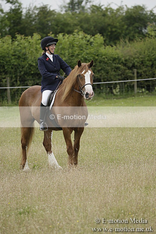 B230619-0305 - Bourne Valley Riding Club Summer Show 23/06/19