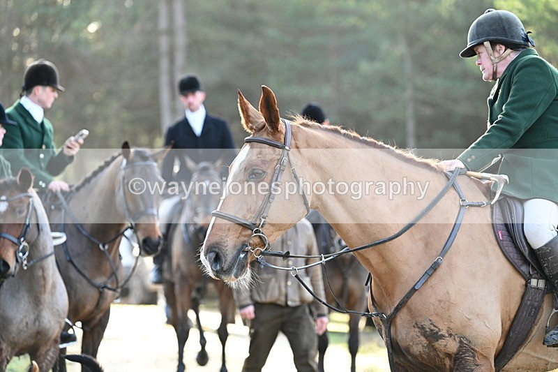 WJ7_7577 - Line 3 (no line 4 or 5)