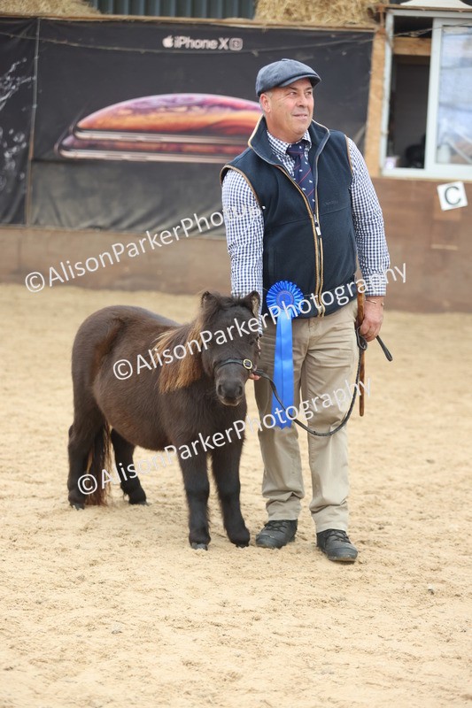 20251109-0213 - Class 10 - Yearling, Colt, Filly or Gelding