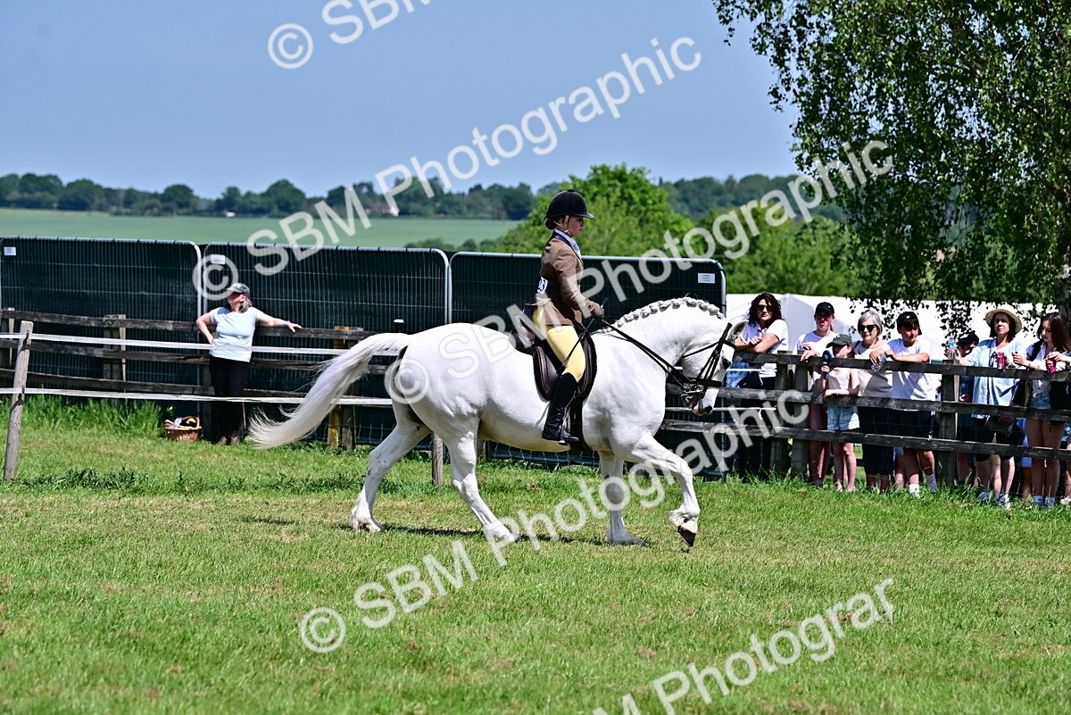 SBM_15271 - Class 95-97 - BSPS LHS Performance Ponies