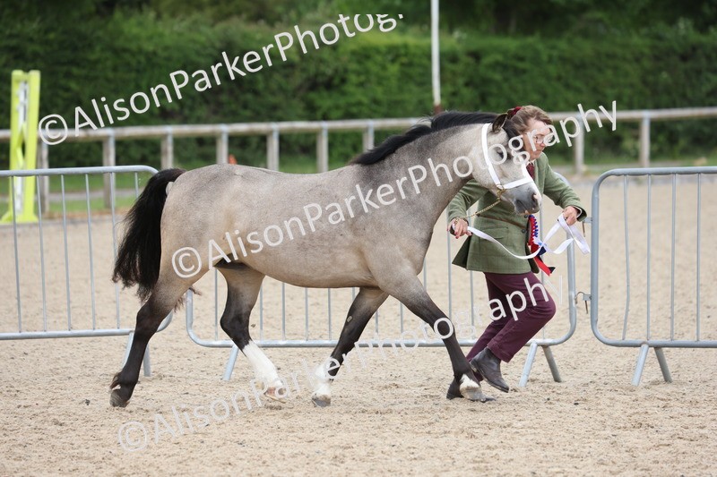 20250524-1091 - Championship