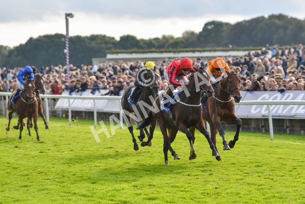 141023-Race 4-Colorada Dancer-1182 - Race 4 3.05pm Coral Racing Club EBF Maiden Stakes