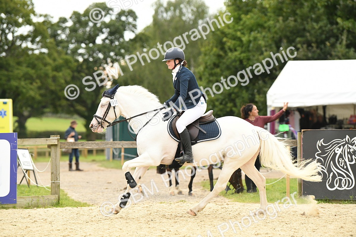 SBM_75787 - Supreme Championship