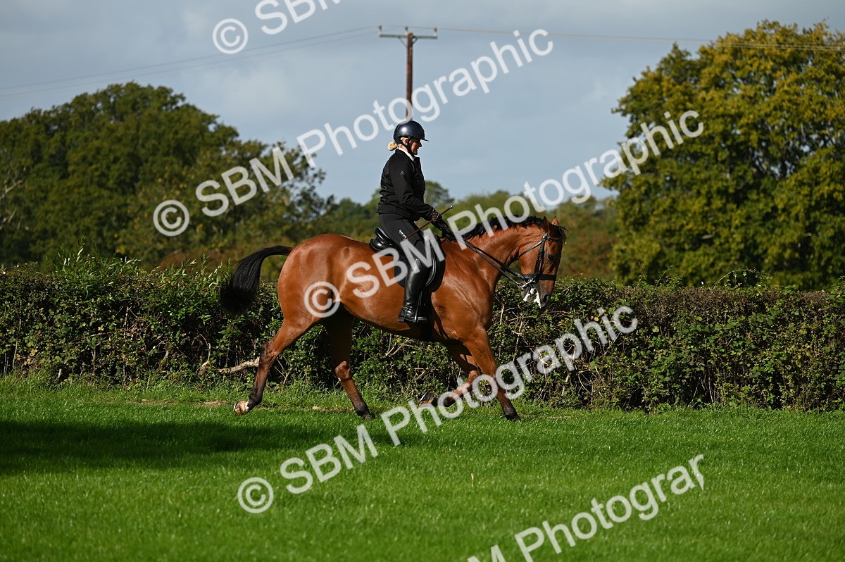SBM_01268 - S2 - TSR Ridden Horse Showing