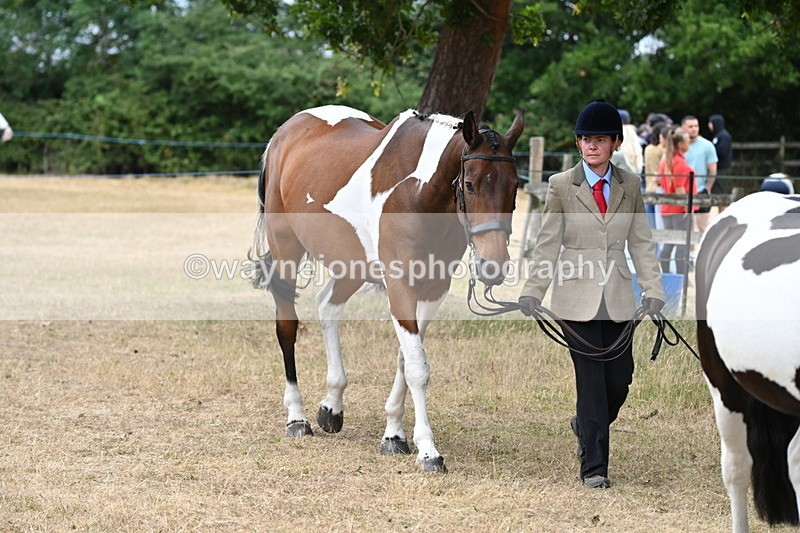 WJ6_7945 - Class 10 Coloured in Hand