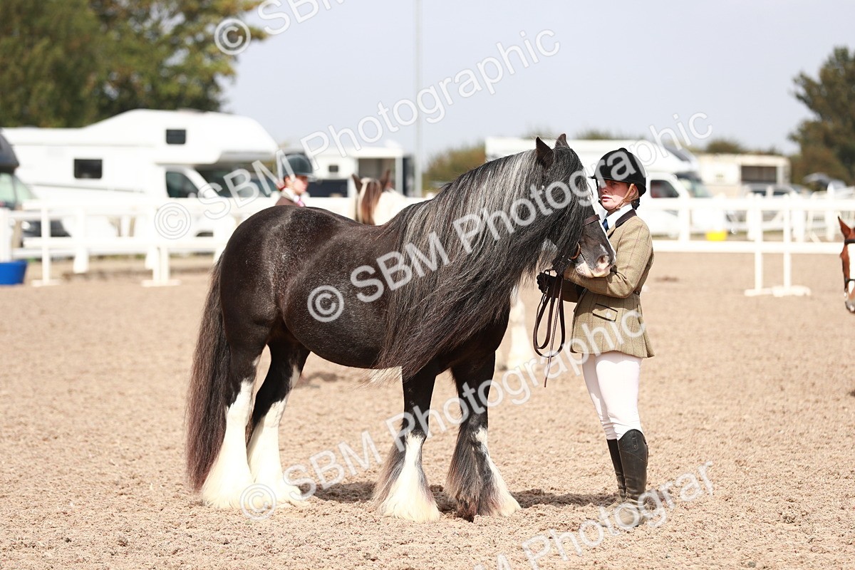 SBM_13920 - Class 209 IH Veteran Pony