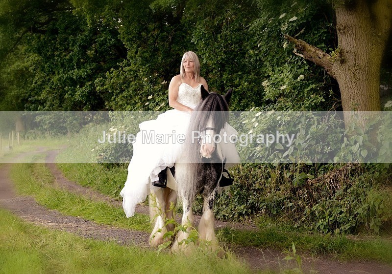 _DSC1887 - Equine Photography