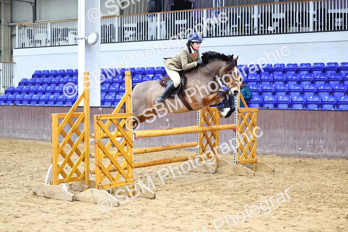 SBM_006579 - Class 43 - RIHS Qualifier Exceeding 43cms