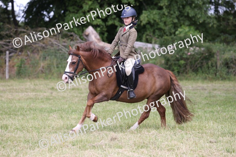 20260614-2100 - Class 21 - Novice Working Hunter Pony