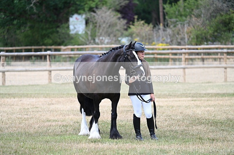 WJ7_1546 - Class 4 Prettiest Mare up to 14.2hh in hand