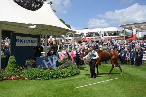 yr10062022r2-60 - Race 2 2.30pm SKF Rous Selling Stakes