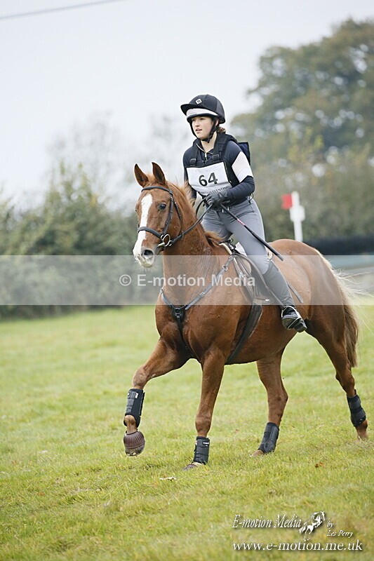 WWHT 181020 WWHT 181020 532 - WWEC Open Novice (0.80m) 18/10/20