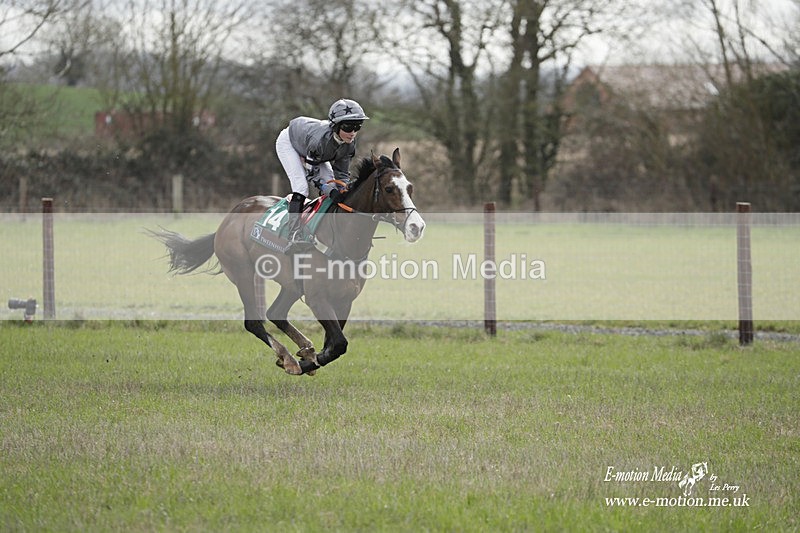 PtP 180323 134 - Shelfield Park Races with Croome & West Warwickshire Hunt  18/03/23