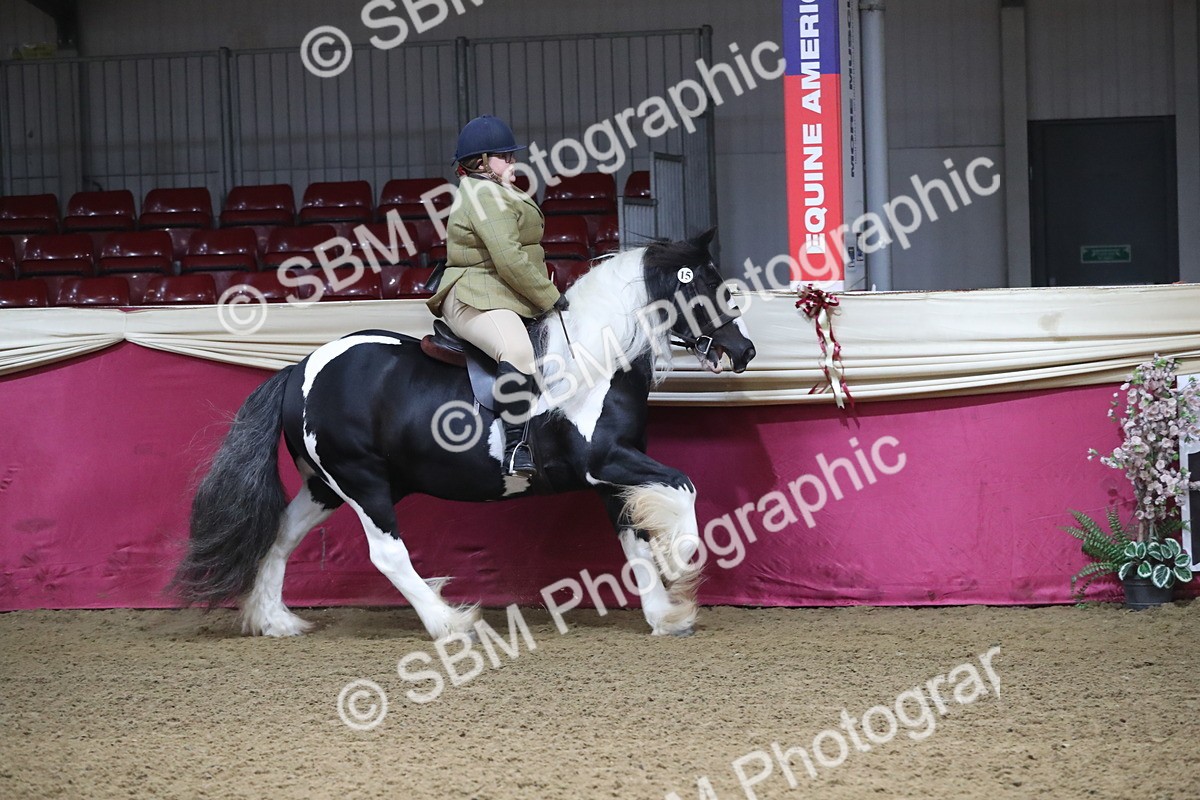 SBM_10355 - Class 102 Equitation (best rider) Adult