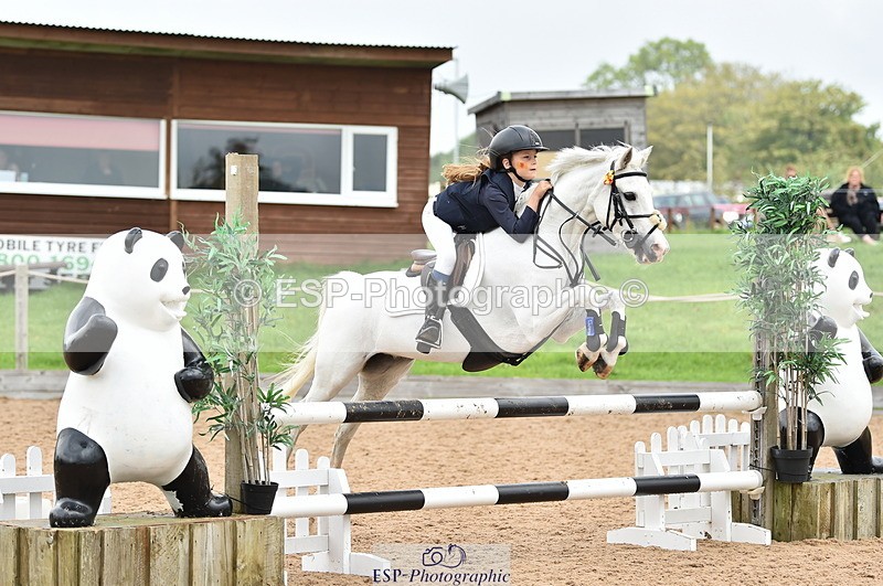 230902A-114822-00851 - Cls 2B Pony Small 80cm