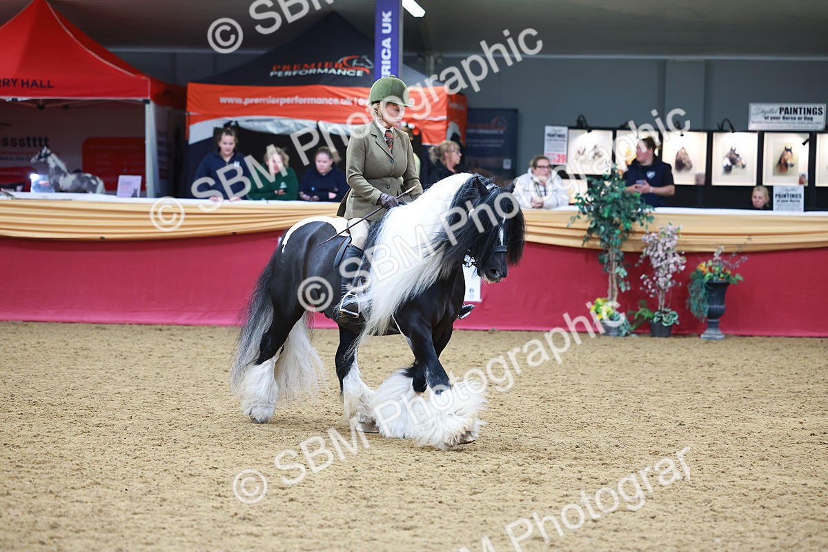 SBM_06262 - Class 12R - Ridden Pre-Vet