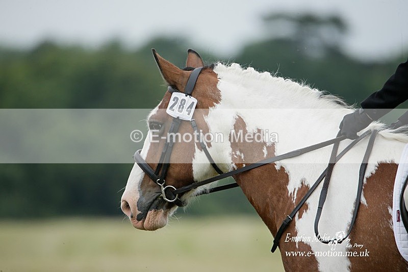 BVRC 030721 77 - Bourne Valley Riding Club Dressage 03/07/21
