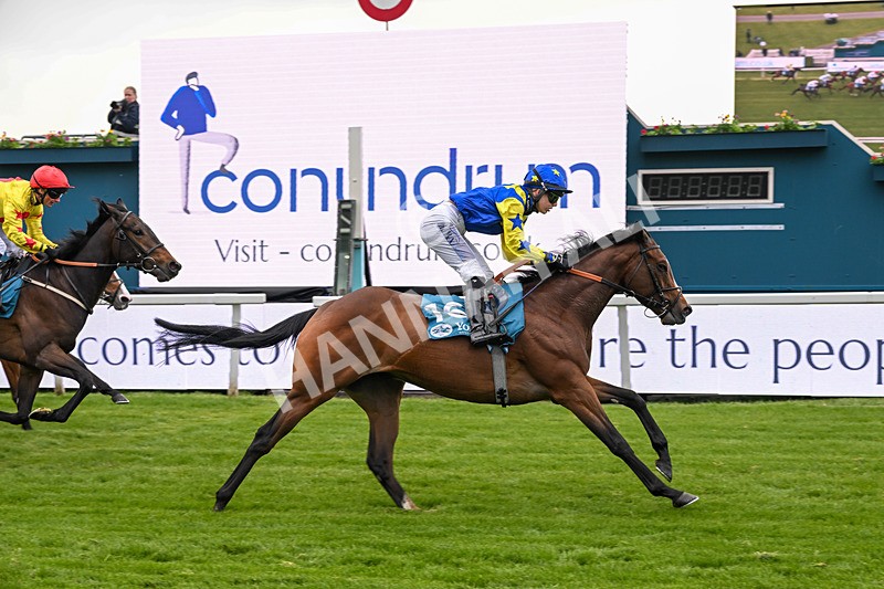 130526-Race 6-Startled-3454 - Race 6 4.40pm Conundrum HR Consulting Handicap