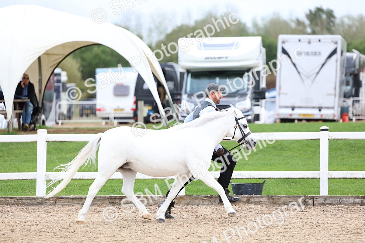 SBM_05855 - Class 29 - IH Veteran Pony