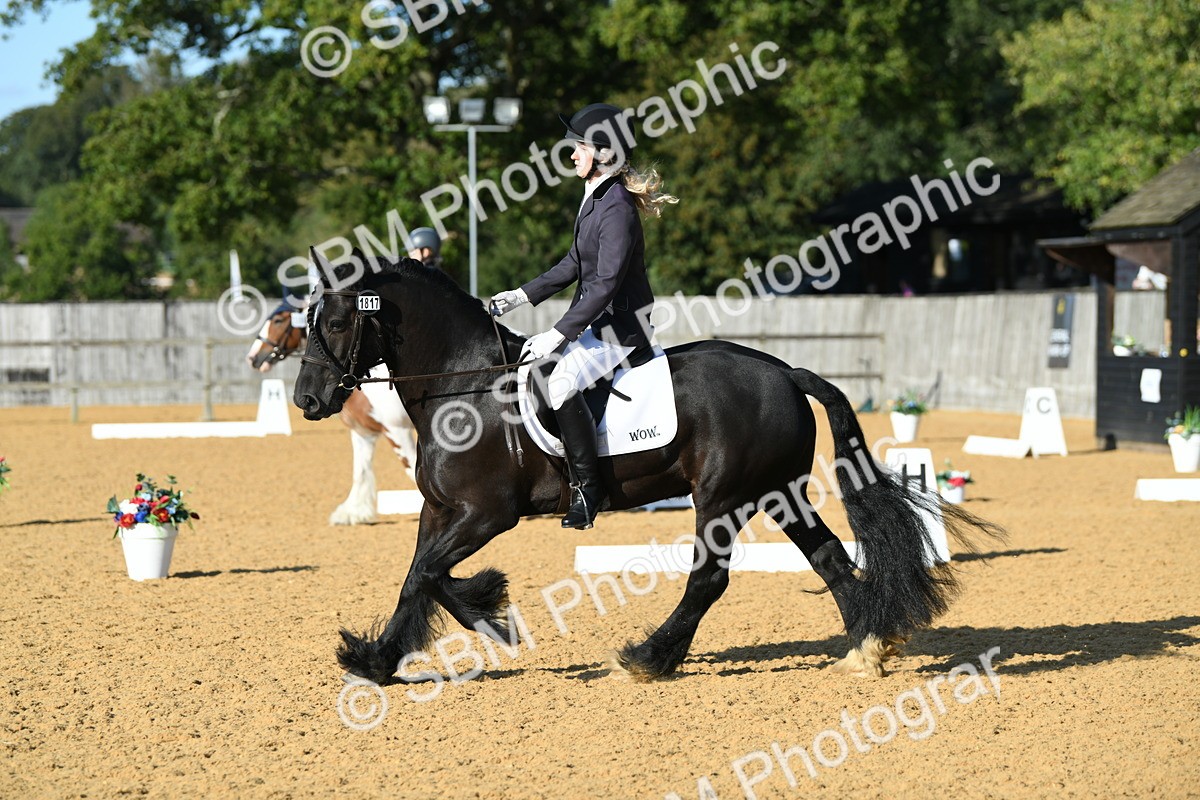 SBM_28468 - D16 - Small Tour Championship - Novice 28