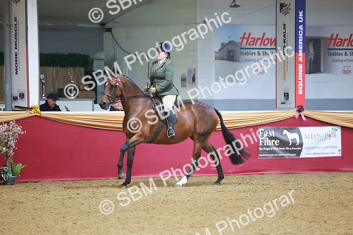 SBM_10647 - Class 103 - HOYS Veteran Qualifier - Ridden Pre Vet