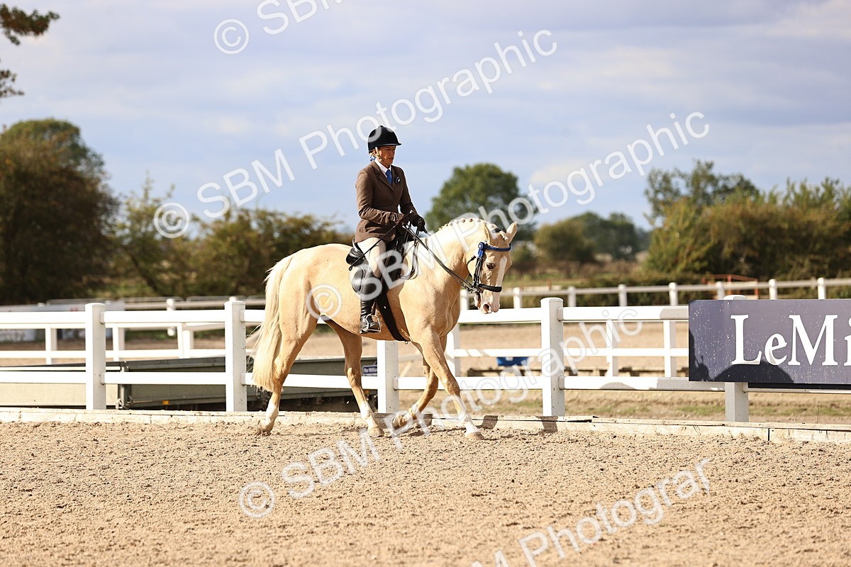 SBM_18153 - Class 423 - Equitation (best rider) Adult
