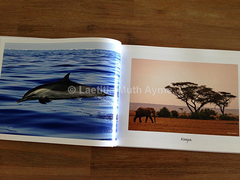  - My Book