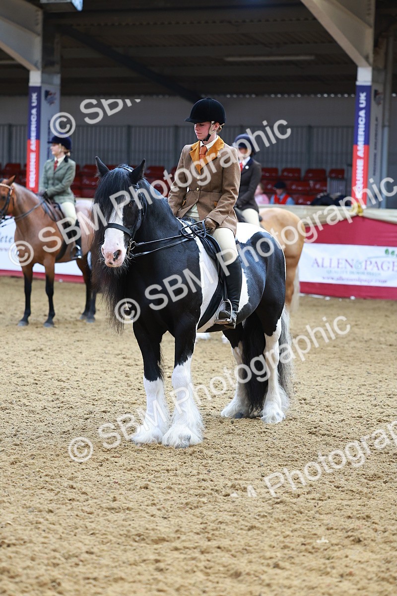 SBM_09849 - Class 102 - HOYS Veteran Qualifier - Ridden Veteran