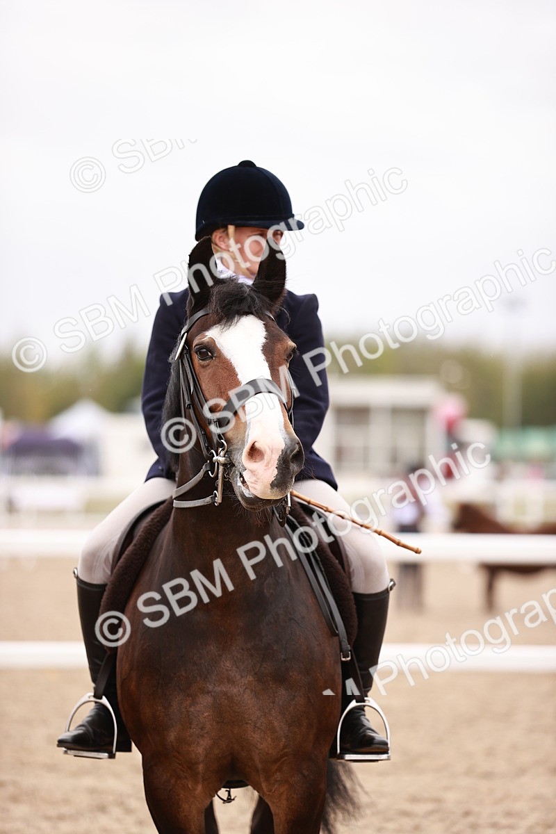 SBM_19003 - Class 422 - Ridden M&M