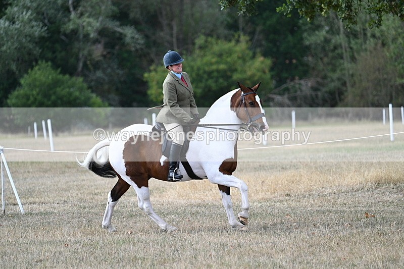 WJ7_7204 - Class 14 Ridden Coloured