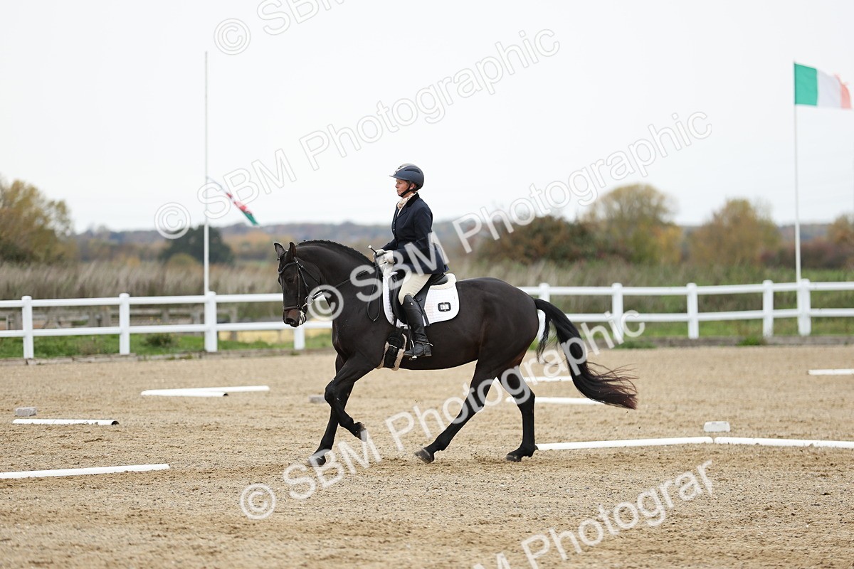 SBM_003960 - Class 9-12 - Novice 2 Elementary 3