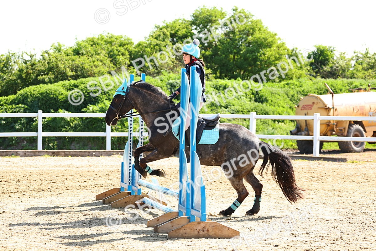 SBM_006782 - Class 2 - 50cm