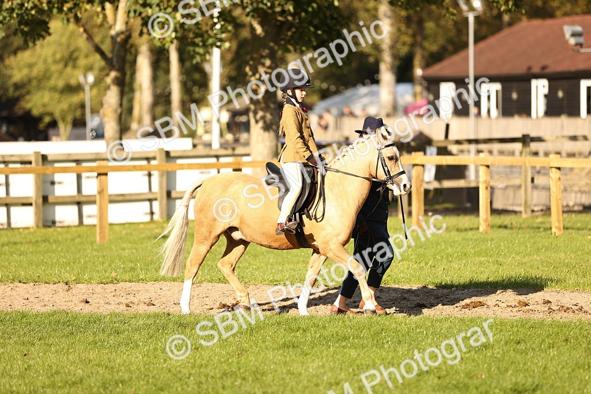 SBM_29359 - S7 - Novice & Newcomers Ridden Pony