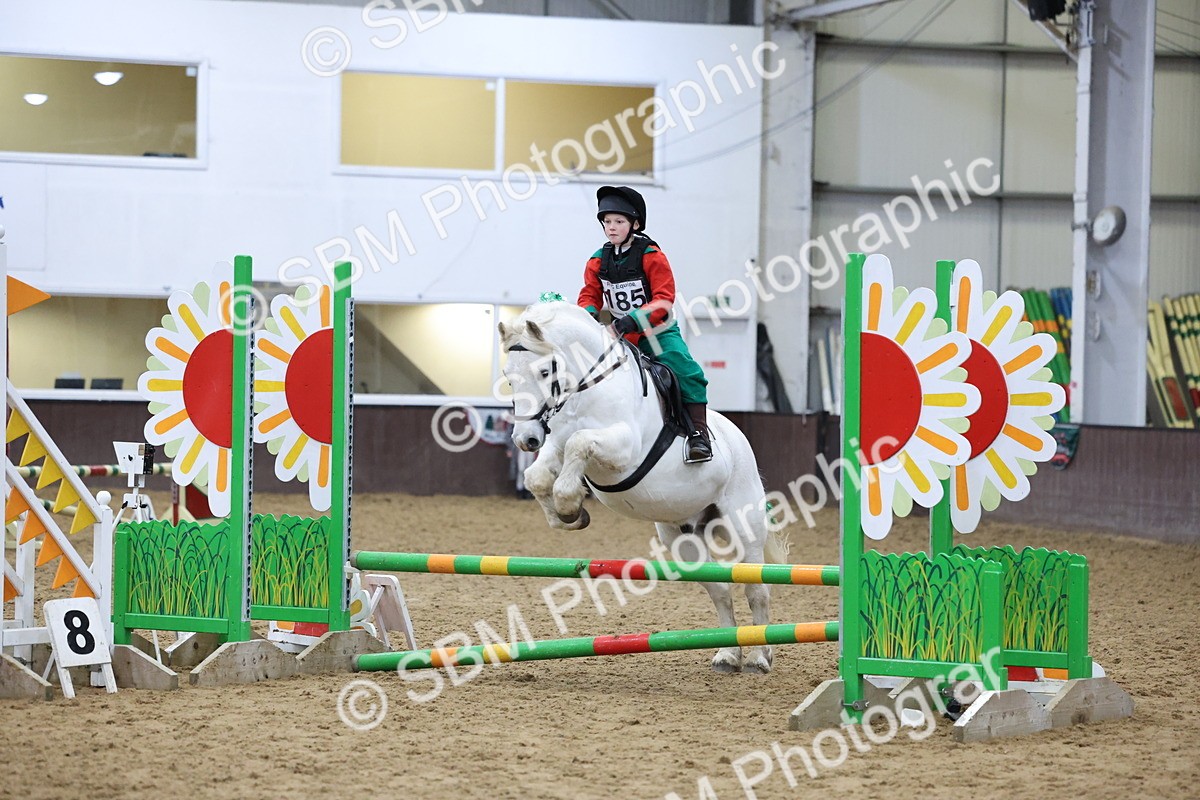 SBM_001211 - Class 3 - Christmas Tree Stakes - 60cm