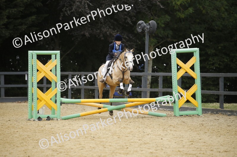 20250622-6028 - 60cm