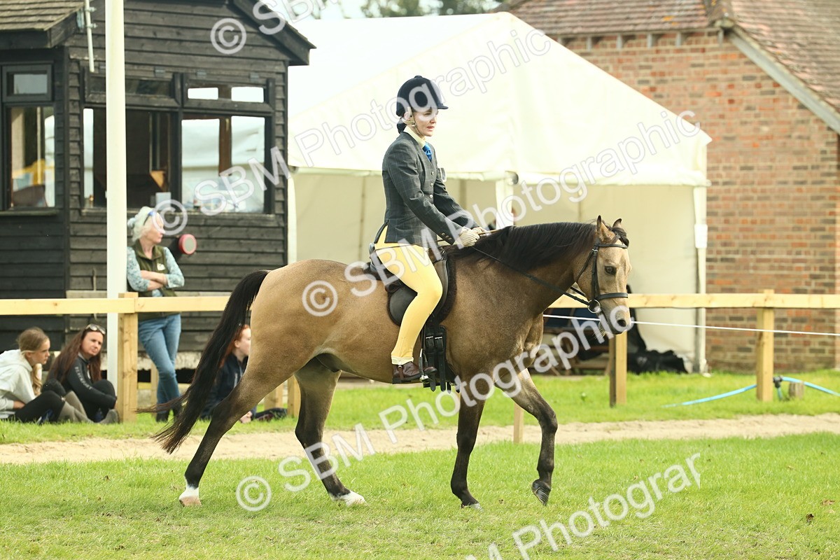 SBM_69783 - S59 - Mountain & Moorland Ridden Small Breeds