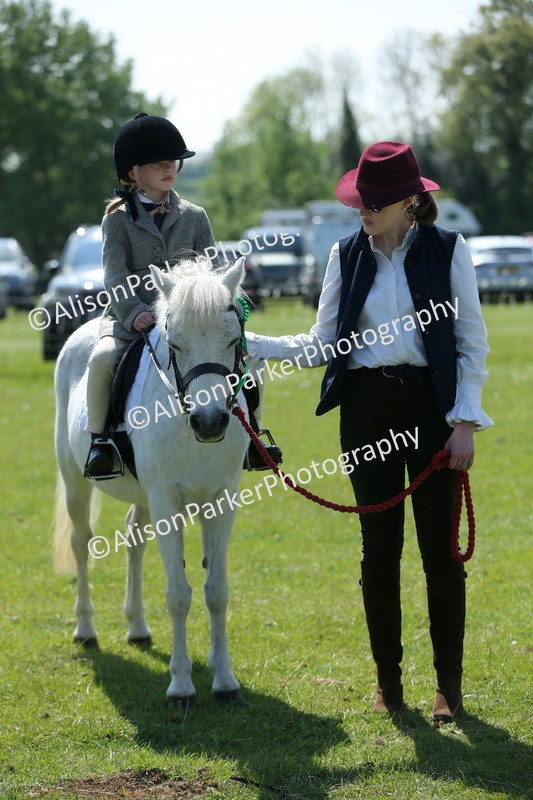 20250427-2672 - Class 6 - Pony Judge Would Most Like To Take Home