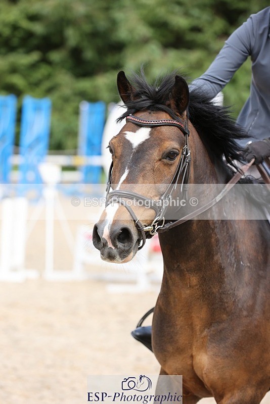 240616-161718-05233 - 80cm 3.30 to End