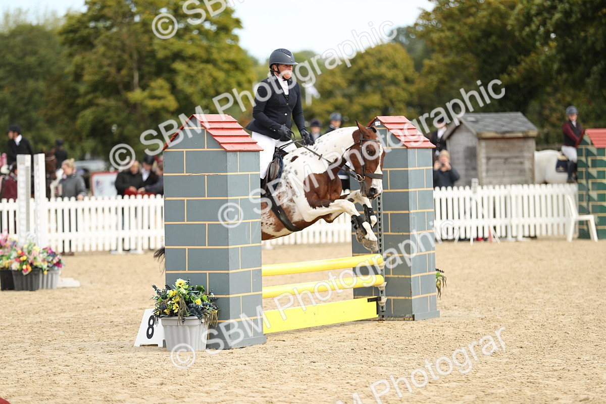 SBM_03098 - J28 - Senior Horse & Pony 60cm Championships