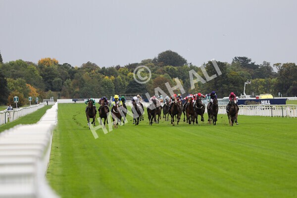 yr07102022r2-16 - Race 2 2.40pm William Hill Autumn Mile