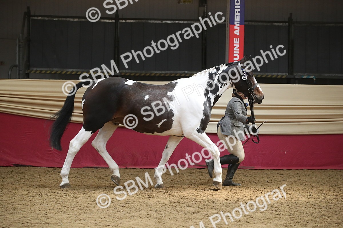 SBM_05570 - Class 9R - Regional IH Pre-Vet